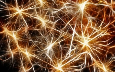 The Secret to Good Networking